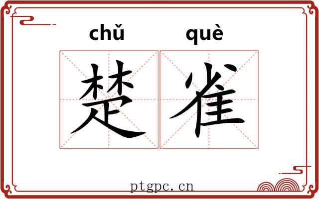 楚雀