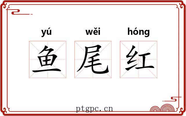 鱼尾红