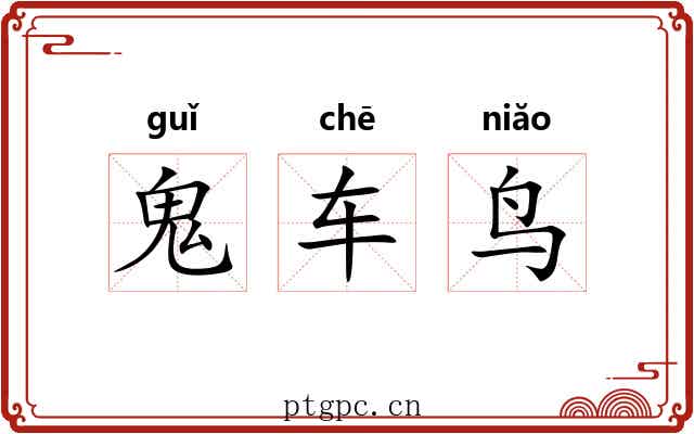 鬼车鸟