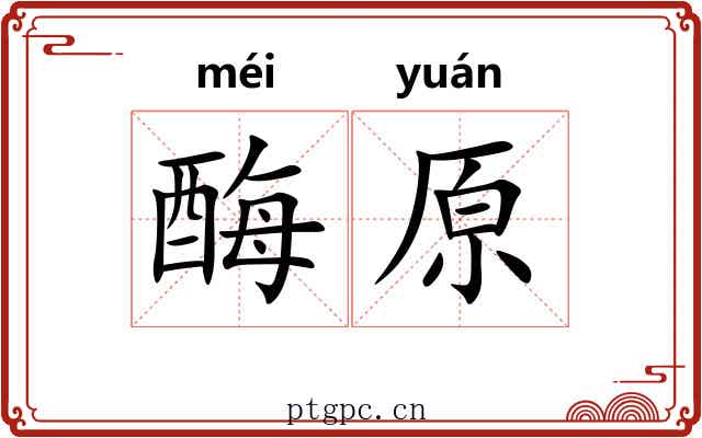 酶原