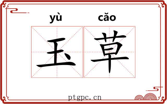 玉草