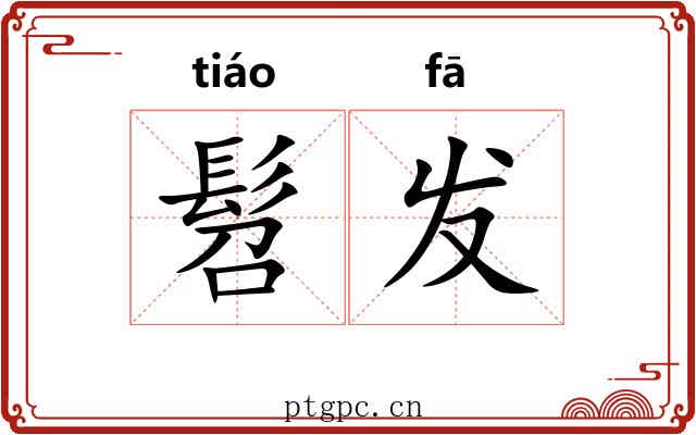 髫发