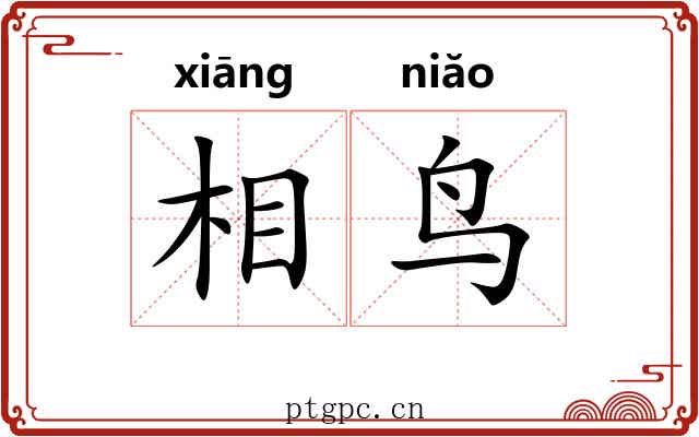 相鸟 相鸟