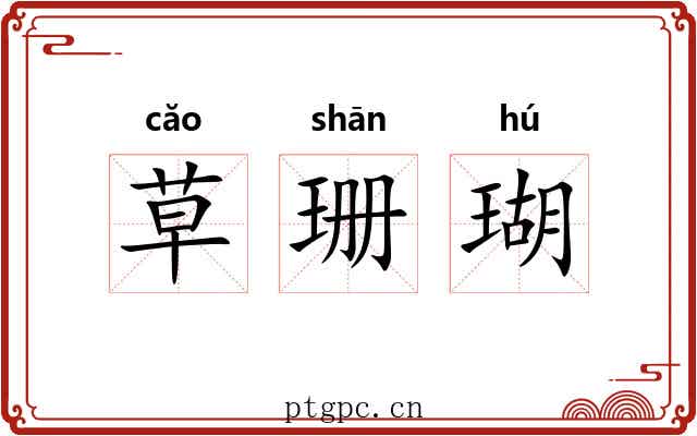 草珊瑚 草珊瑚