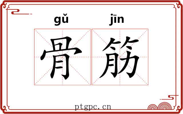 骨筋