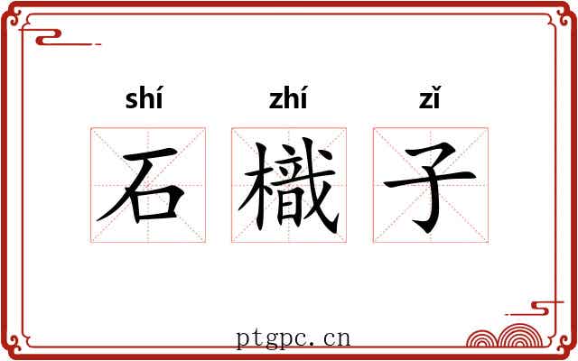 石樴子