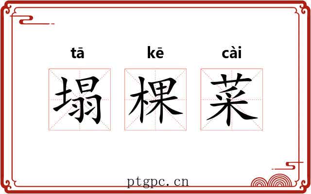 塌棵菜