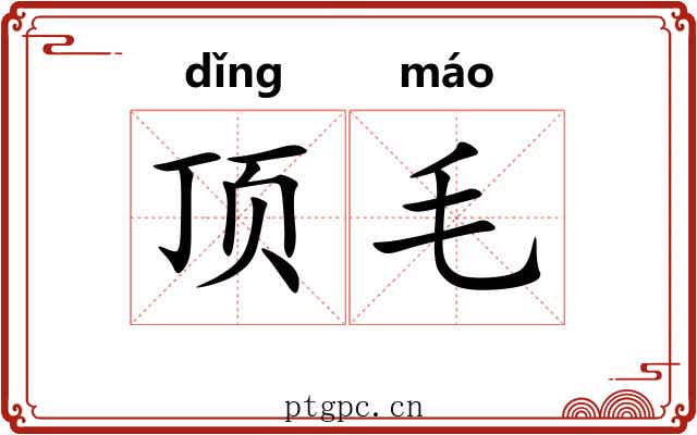 顶毛 顶毛
