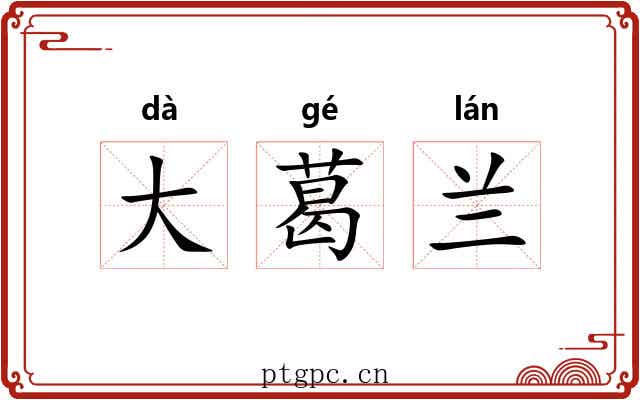 大葛兰 大葛兰