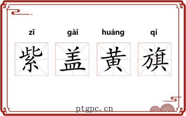紫盖黄旗