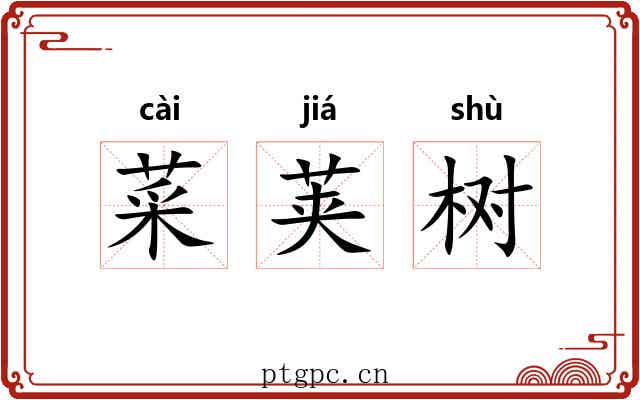 菜荚树