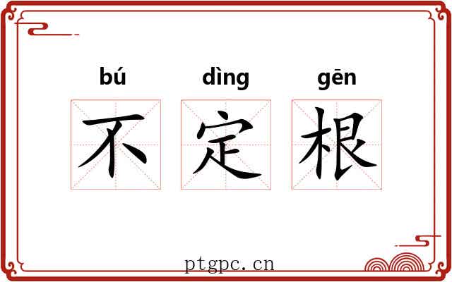 不定根