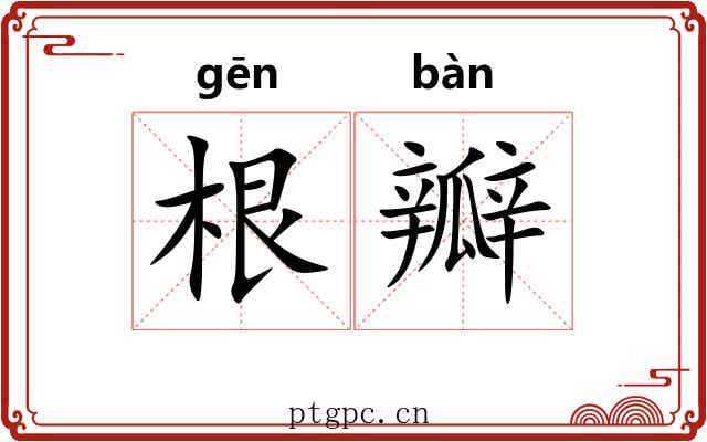 根瓣