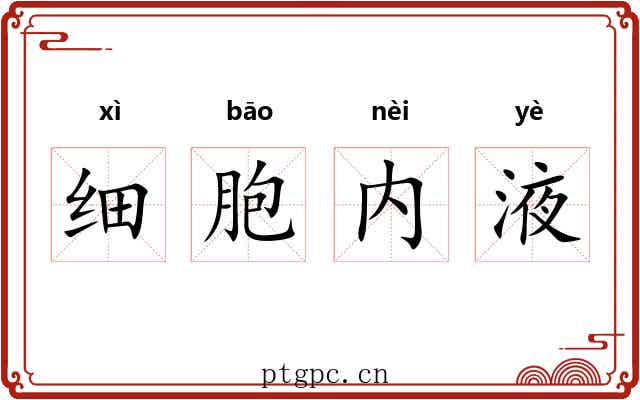 细胞内液 细胞内液