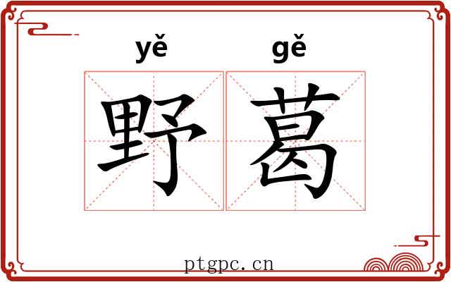 野葛 野葛