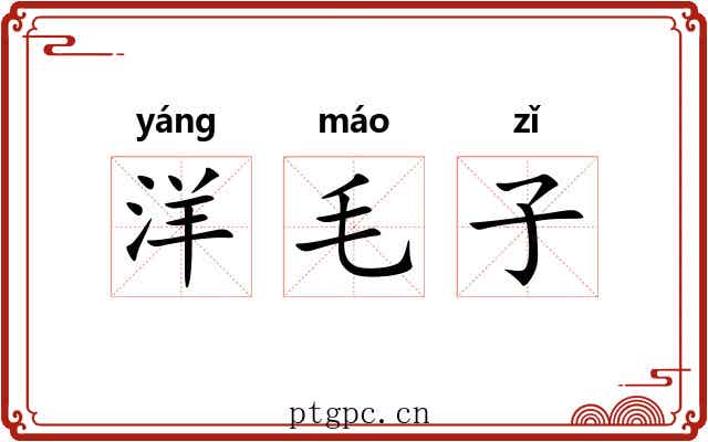 洋毛子 洋毛子