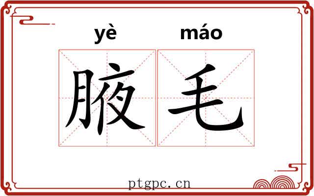 腋毛 腋毛