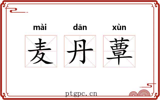 麦丹蕈