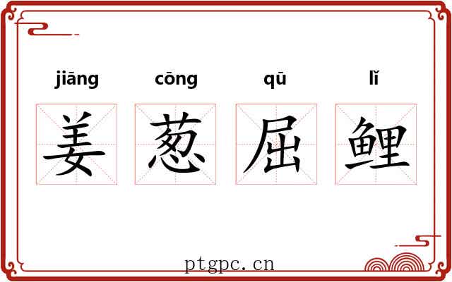 姜葱屈鲤 姜葱屈鲤