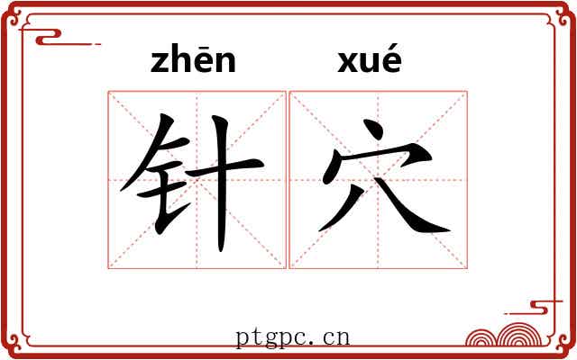 针穴