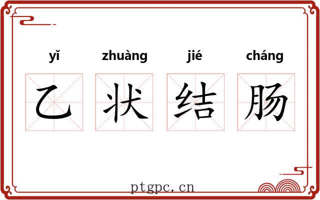 乙状结肠 乙状结肠