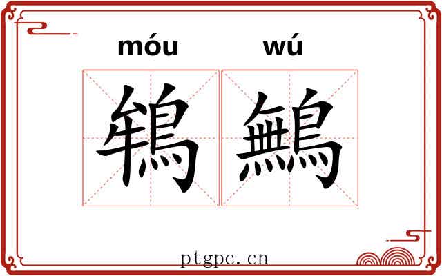 鴾鷡