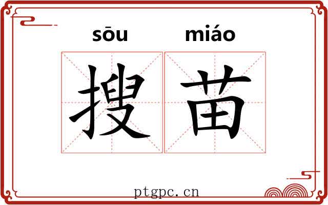 搜苗