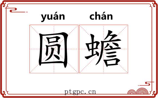 圆蟾 圆蟾