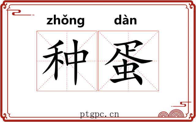 种蛋 种蛋
