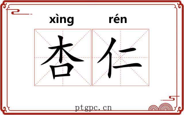杏仁 杏仁