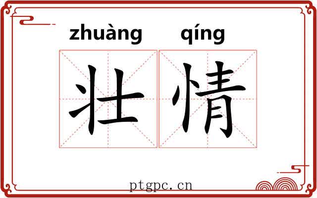 壮情