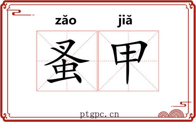 蚤甲
