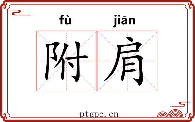 附肩