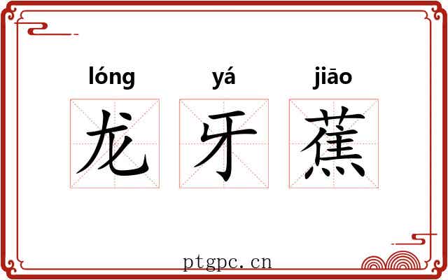 龙牙蕉 龙牙蕉