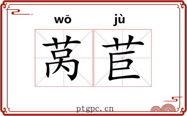 莴苣