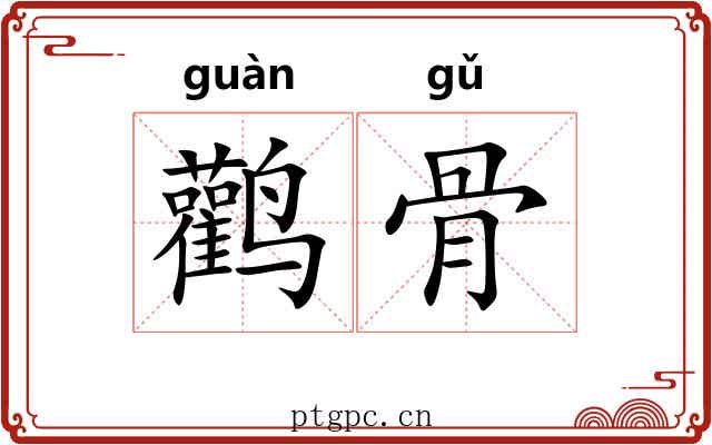 鹳骨