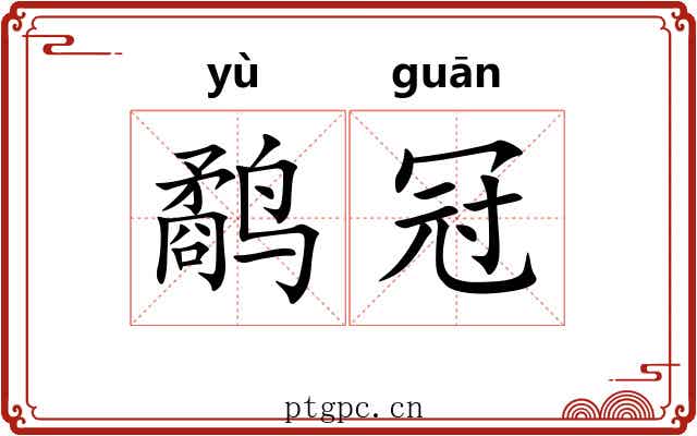 鹬冠