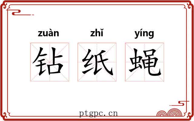 钻纸蝇