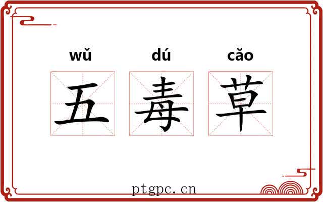 五毒草 五毒草