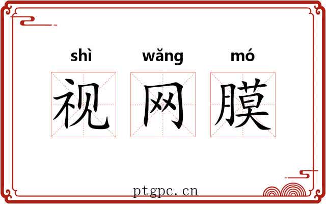 视网膜 视网膜