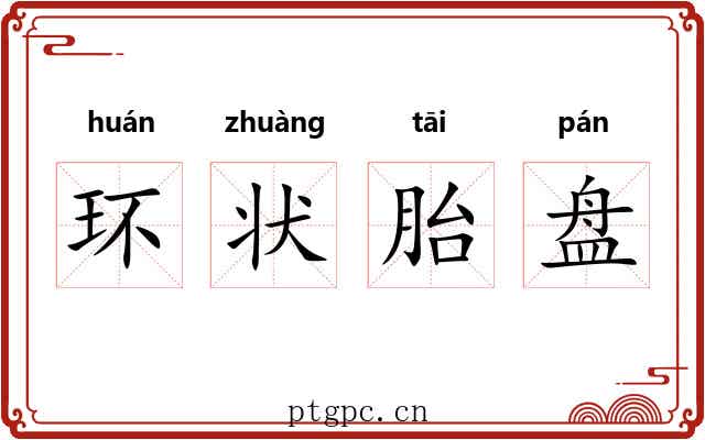 环状胎盘