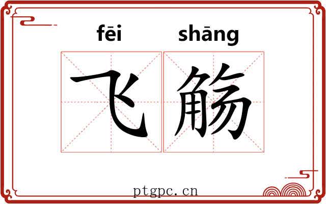 飞觞