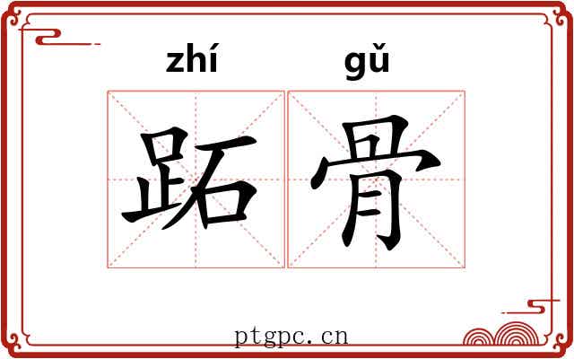 跖骨