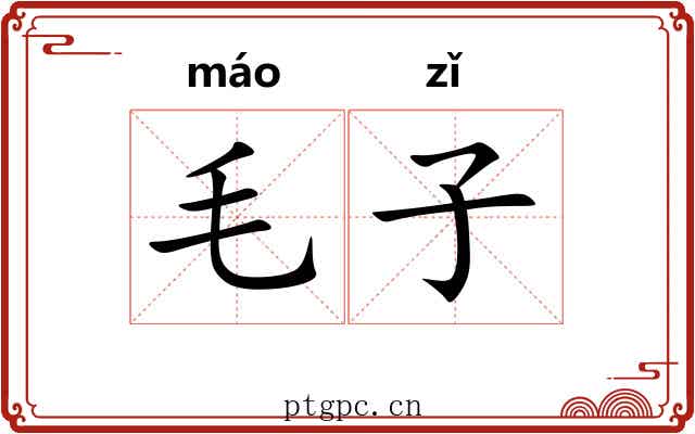 毛子