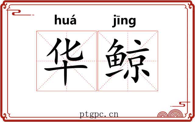 华鲸