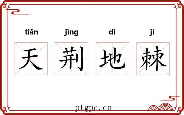 天荆地棘 天荆地棘