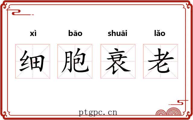 细胞衰老
