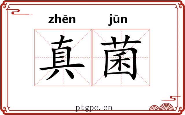 真菌