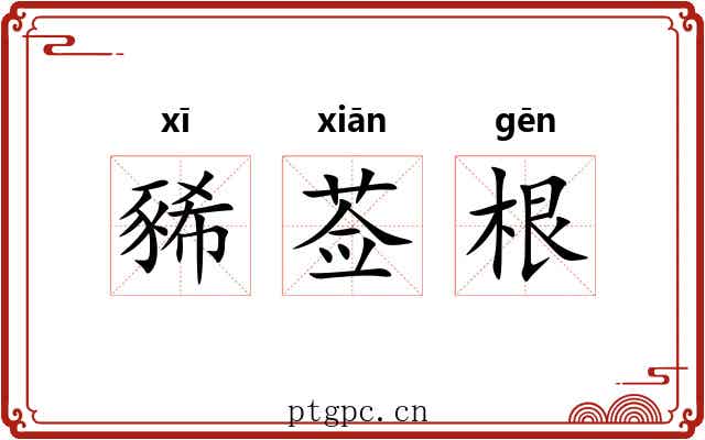 豨莶根 豨莶根