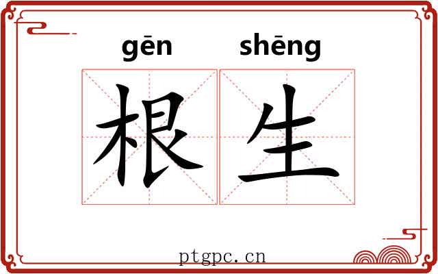 根生